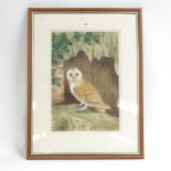 Andrew Osborne, watercolour, owl, signed, 43cm x 28cm, framed