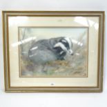 Trevor Parkin, watercolour, badger, signed, Exhibition label verso, 35cm x 50cm, framed