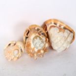 3 early 19th century conch shells with relief carved Classical cameo panels, largest length 15cm A