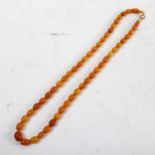 A butterscotch amber graduated bead necklace, overall length 51cm, 17.6g