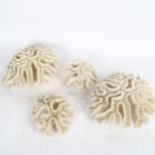 4 bleached corals