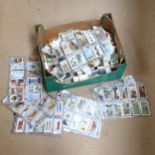 A large quantity of Vintage cigarette cards, including Wills's