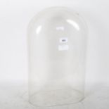 A glass dome, internal measurements: W31cm, H49cm, D16.5cm General nicks around base otherwise no