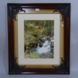 Sabs, a framed photograph, woodland stream, 81cm x 70cm