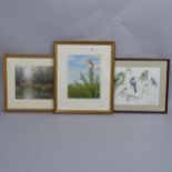 S Message, watercolour, bird and butterfly, 28cm x 21cm, group of bird sketches by the same hand,