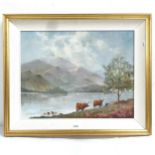 Daniel Wilson, oil on canvas, Highland cattle, framed, 46cm x 56cm overall