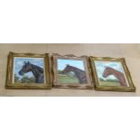 Alison Guest, 3 oils on canvas, horse portraits, signed, framed, overall 68cm x 58cm (3)