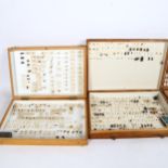 TAXIDERMY - 3 cased collections of insects, including Rutpela Maculata, Rhinoceros Beetle, Lucanus