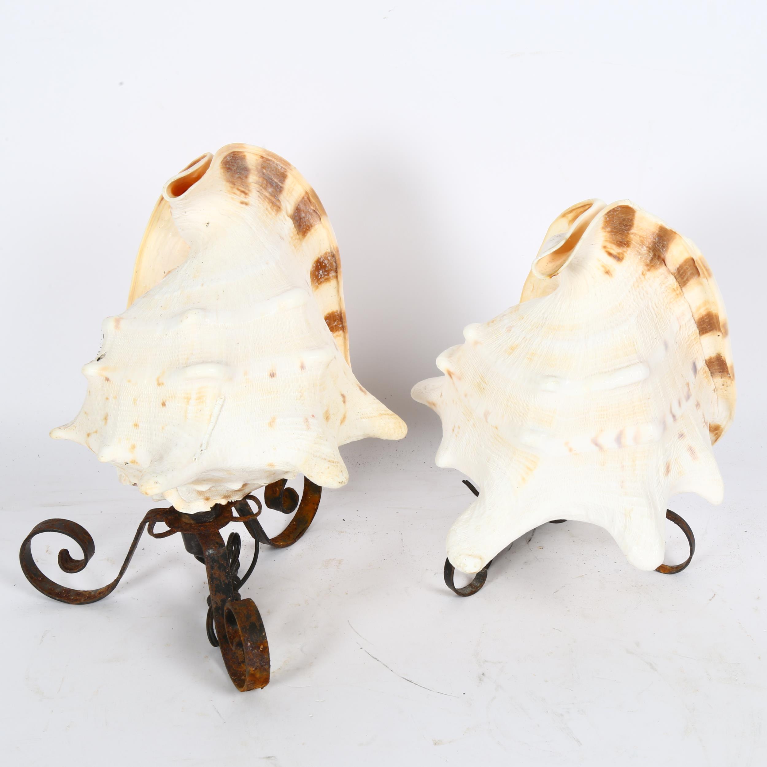 A pair of conch shell table lamps, with wrought-iron bases, height 25cm Smaller shell has 2 rim - Image 2 of 2