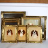 8 various oils, dog studies, all gilt-framed and signed, 5 by G J Williams and 3 by Andrew Hall,