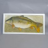 Clive Fredriksson, oil on board, study of a carp, 48cm x 97cm overall, framed