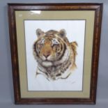 A large coloured print, study of a tiger, signed, 85cm x 72cm overall, framed