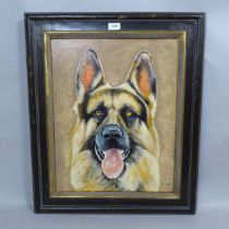 Clive Fredriksson, an oil on board, study of Alsatian, 69cm x 59cm overall, framed