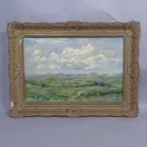 Jan Jans, oil on canvas, panoramic landscaped, signed bottom right, 55cm x 75cm overall, framed