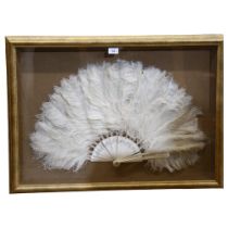 2 framed and glazed ostrich feather fans, frame size 60cm x 84cm