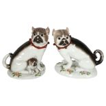 A pair of German ceramic Pugs, on floral decorated bases, height 19cm