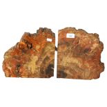 2 large petrified wood specimens, H25cm, L25cm, D7cm