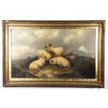 19th century English School, large oil on canvas in the manner of Thomas Sidney Cooper, sheep on a