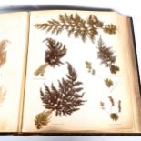 New Zealand Ferns, leather-bound album containing pressed specimens, inscribed inside cover with