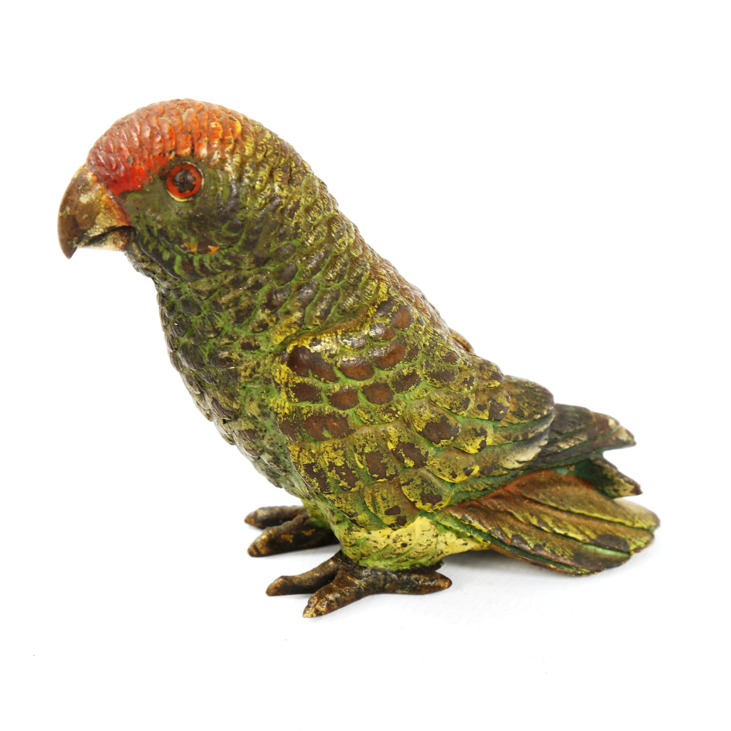 Austrian cold painted bronze parakeet, height 6cm