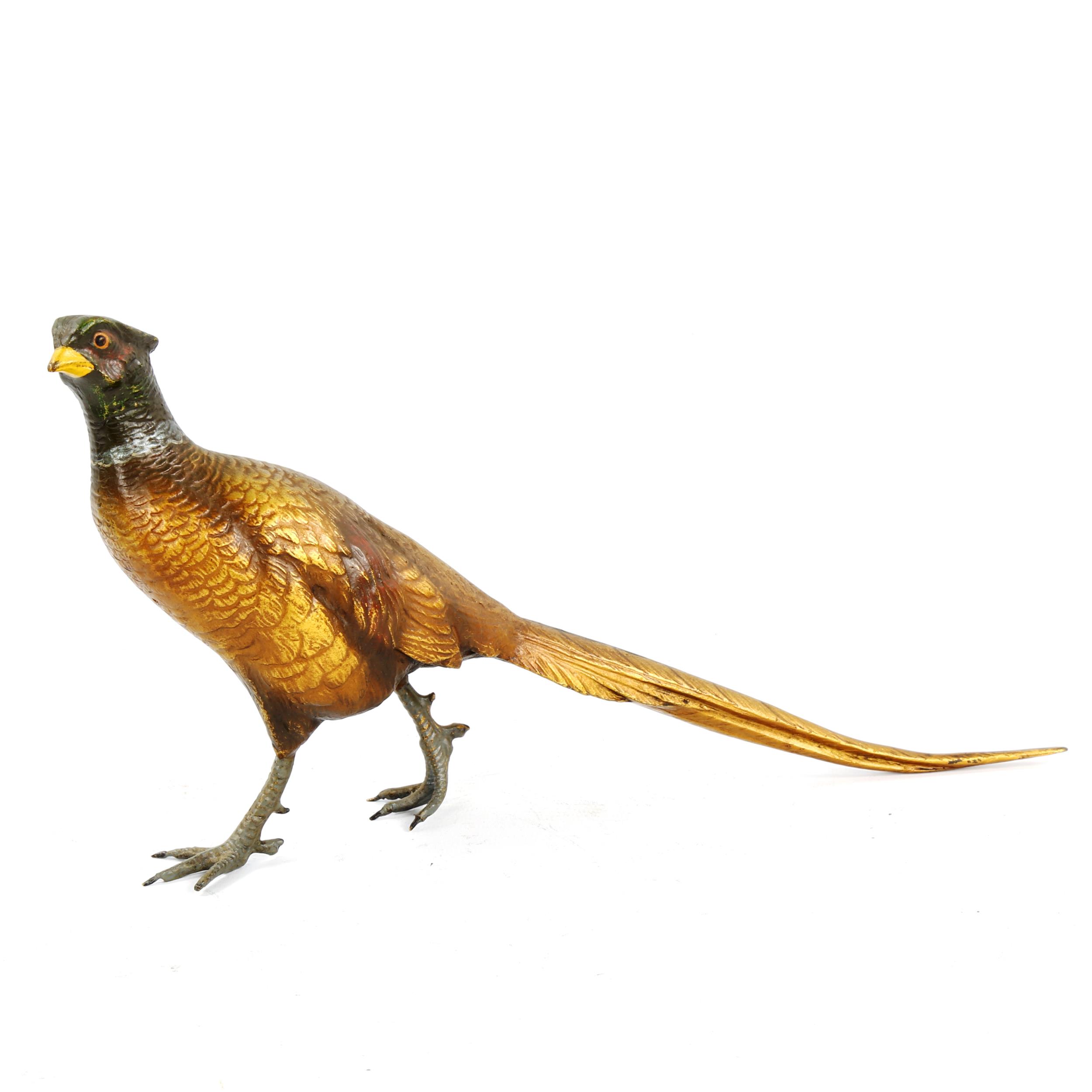 A large Bergmann style cold painted bronze pheasant, length 35cm