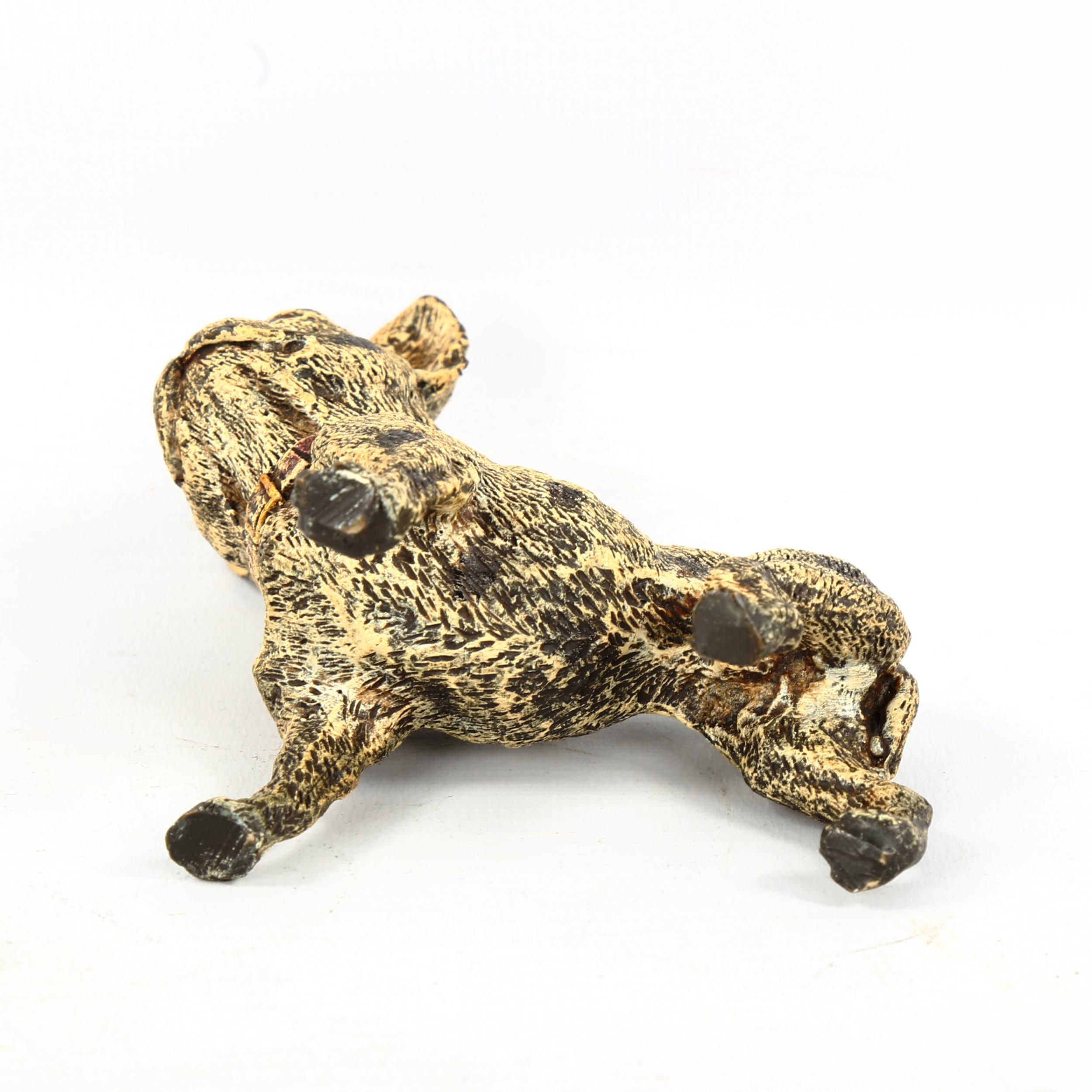 Austrian cold painted bronze French Bulldog, length 9cm - Image 3 of 3