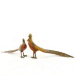 2 Austrian cold painted bronze pheasant, largest length 21cm