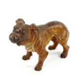 Austrian cold painted bronze Bulldog, length 7.5cm