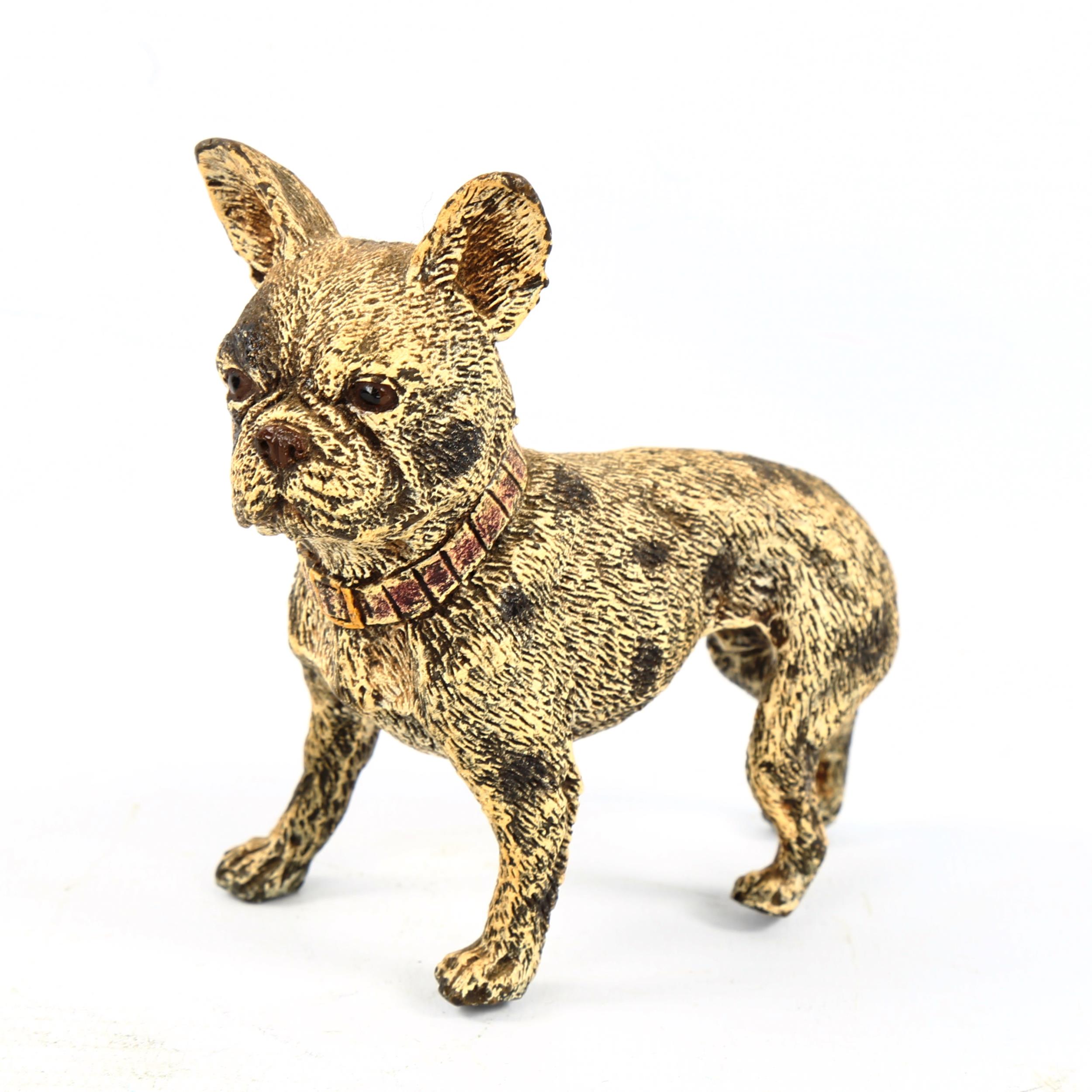Austrian cold painted bronze French Bulldog, length 9cm