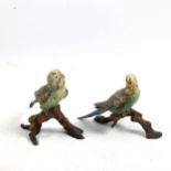 A pair of Austrian cold painted bronze lovebirds on branches, height 8cm