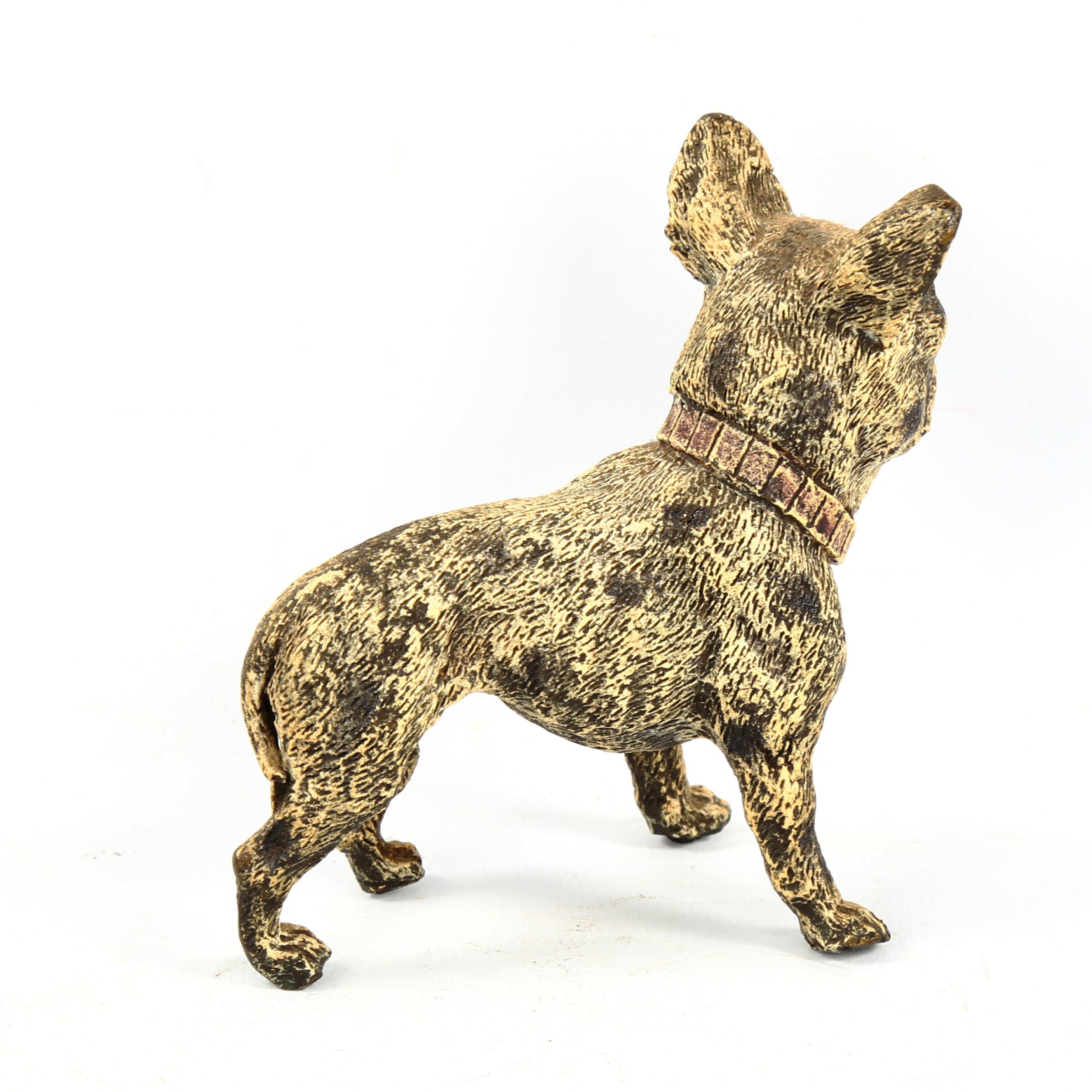 Austrian cold painted bronze French Bulldog, length 9cm - Image 2 of 3