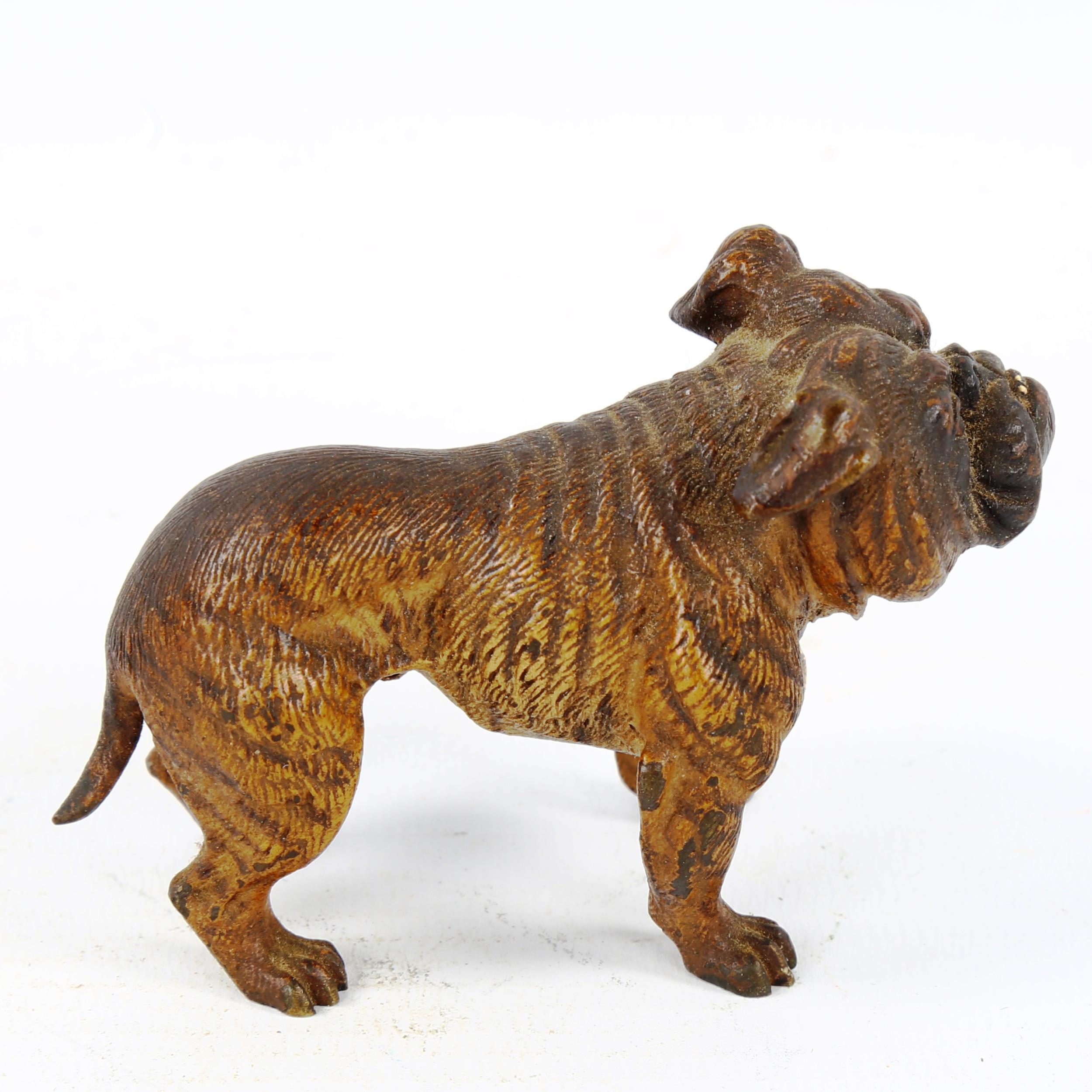 Austrian cold painted bronze Bulldog, length 7.5cm - Image 2 of 3