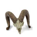 Cold painted and patinated bronze ram skull, height 8cm