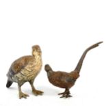 Austrian cold painted bronze grouse, height 7cm, and cold painted bronze pheasant
