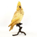 A large Bergmann style cold painted bronze parrot on a branch, height 30cm