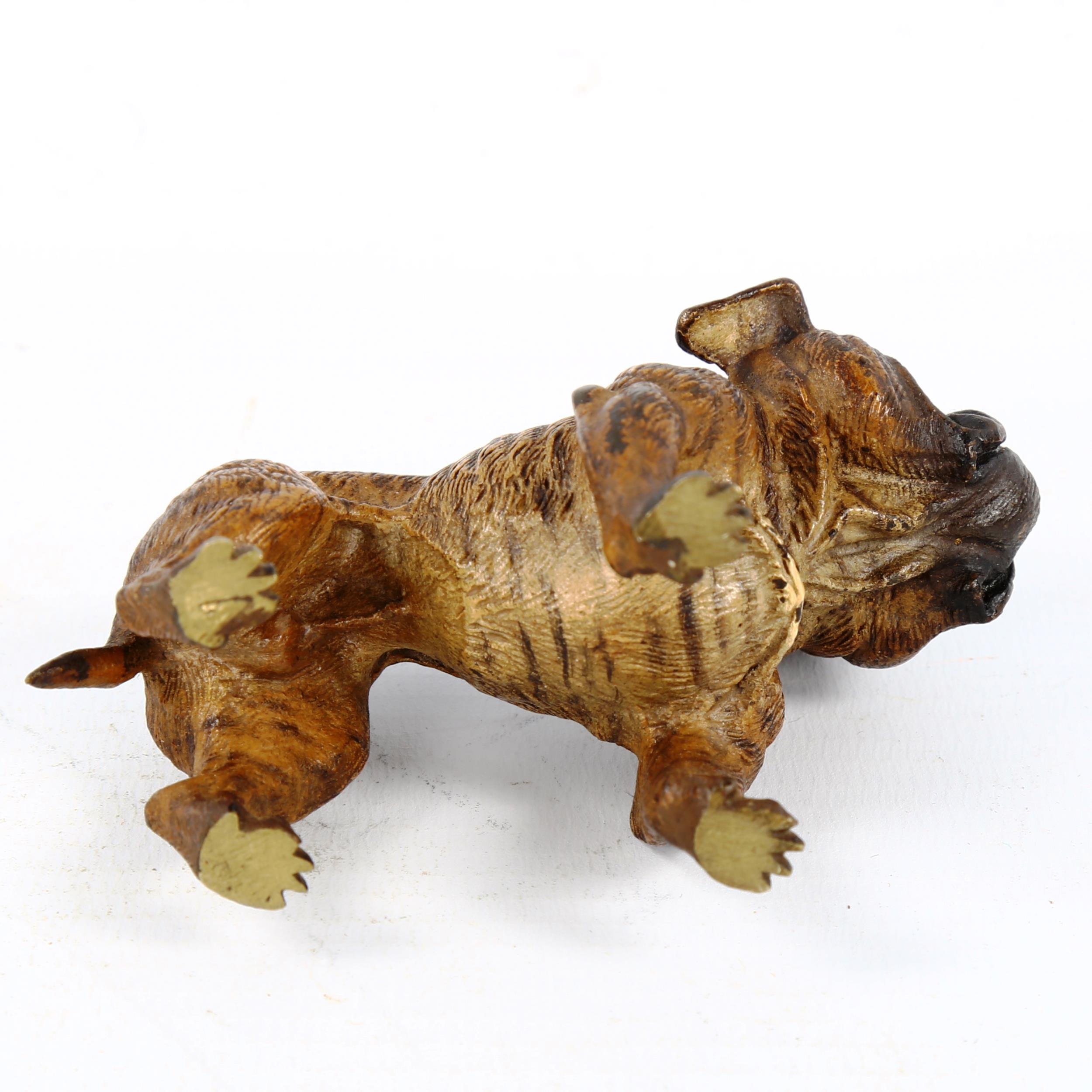 Austrian cold painted bronze Bulldog, length 7.5cm - Image 3 of 3