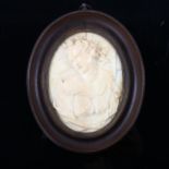 A relief carved ivory Classical cameo plaque, in oval walnut frame, overall frame dimensions 12.