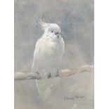 John Murray Thomson RSA RSW (1885 - 1974), watercolour, cockatoo, signed, 24cm x 18cm, framed,