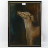 Sabine Jaspert (Canadian), oil on paper, study of dog, signed, 49cm x 34cm, framed