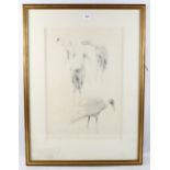 Raymond Harris-Ching, pencil drawing, Brolga studies, signed, 54cm x 36cm, framed, provenance: The