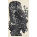 Charles Tunnicliffe (1901 - 1979), wood engraving, barn owl, signed in pencil, no. 7/50, image