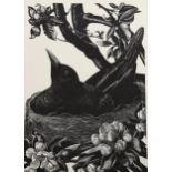 Claire Leighton (1898-1989), wood engraving on paper, Blackbird on Nest, 17.5cm x 12.3cm, printed on