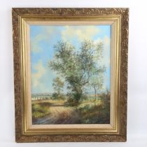 P Bradshaw, oil on canvas, landscape, signed, 50cm x 40cm, framed Good condition