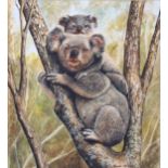 John Mackay (Australian), watercolour, koala bears, signed, 28cm x 26cm, framed Good condition