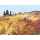 Monro, oil on paper, landscape at Okanagan, 21cm x 27cm, framed, provenance: Masters Gallery Alberta