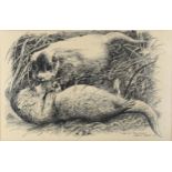 Spencer Roberts, pen and ink, young otters, signed and dated 1971, 33cm x 51cm, framed Paper