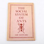 The Social System Of Ants by Ian Hayward, published by Hornsey College of Art Press 1958 Good