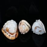 3 early 19th century conch shells with relief carved Classical cameo panels, largest length 15cm A