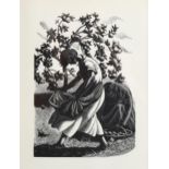 Claire Leighton (1898-1989), wood engraving on paper, A Lapful of Windfalls, 17.5cm x 12.2cm,