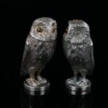 A pair of Victorian novelty silver plated owl pepperettes, height 7cm 1 owl missing an eye otherwise